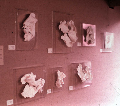 paper display at gallery